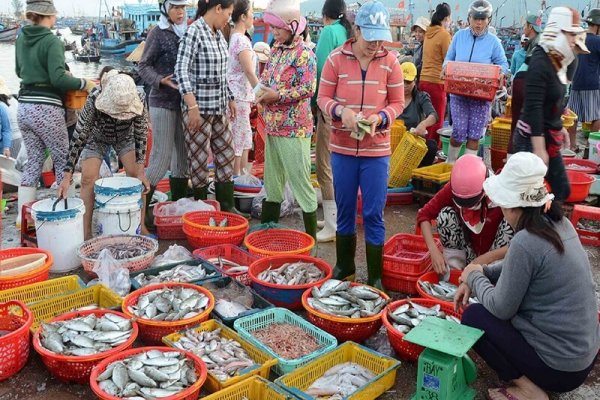 Mua hải sản Cà Mau ở đâu đảm bảo tươi ngon giá tốt