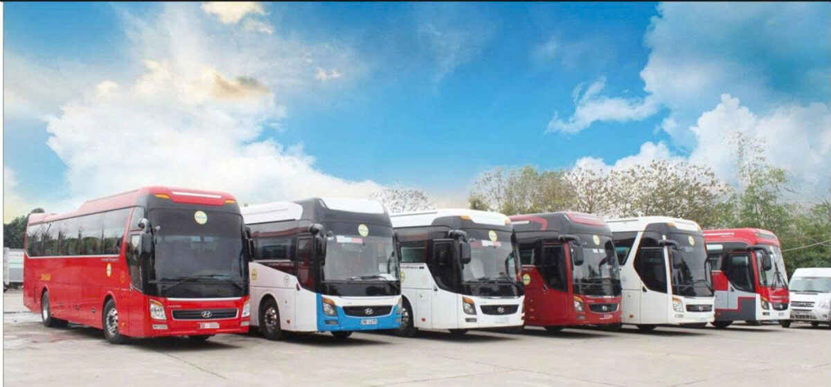 Thuê Xe Cà Mau Đi U Minh Hạ